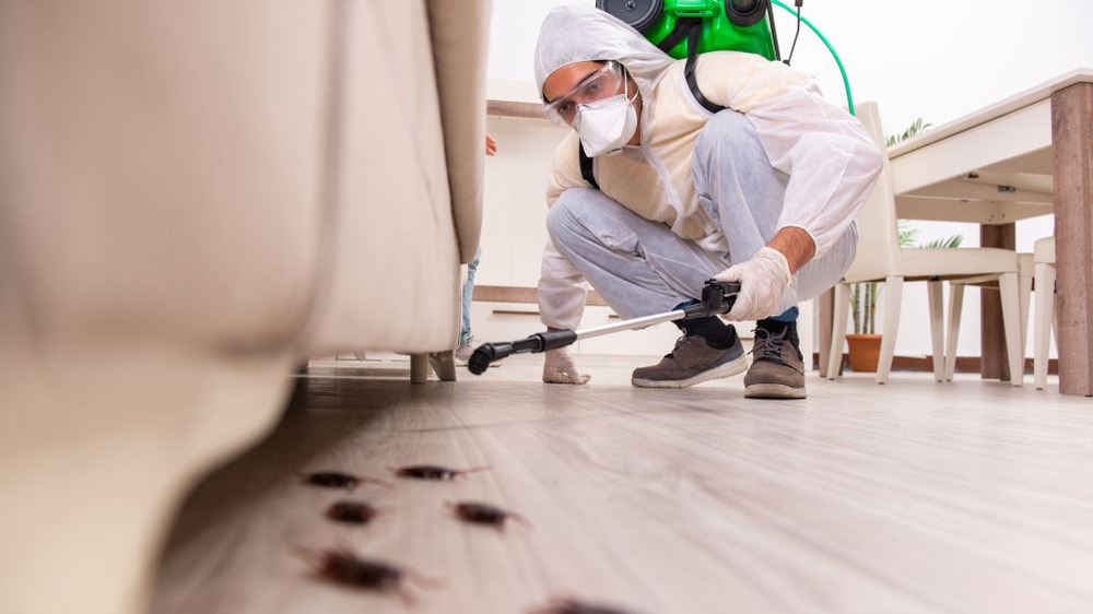 Limpeza residencias e condomínios