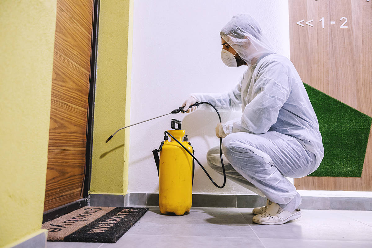 Equipe da Abate Imunização de Ambientes em atendimento